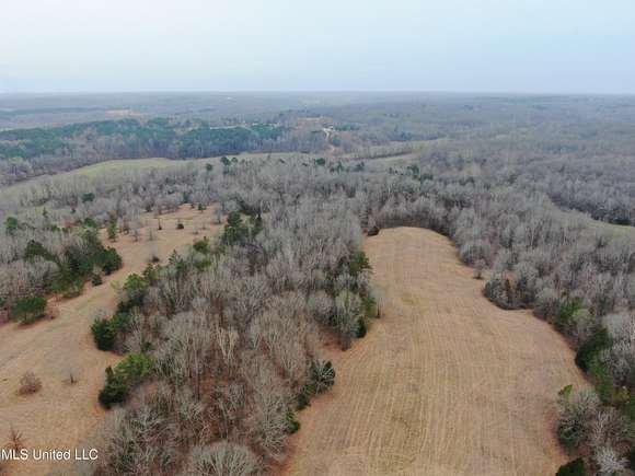 50 Acres of Land for Sale in Lamar, Mississippi