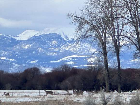 61.1 Acres of Agricultural Land for Sale in Sheridan, Montana