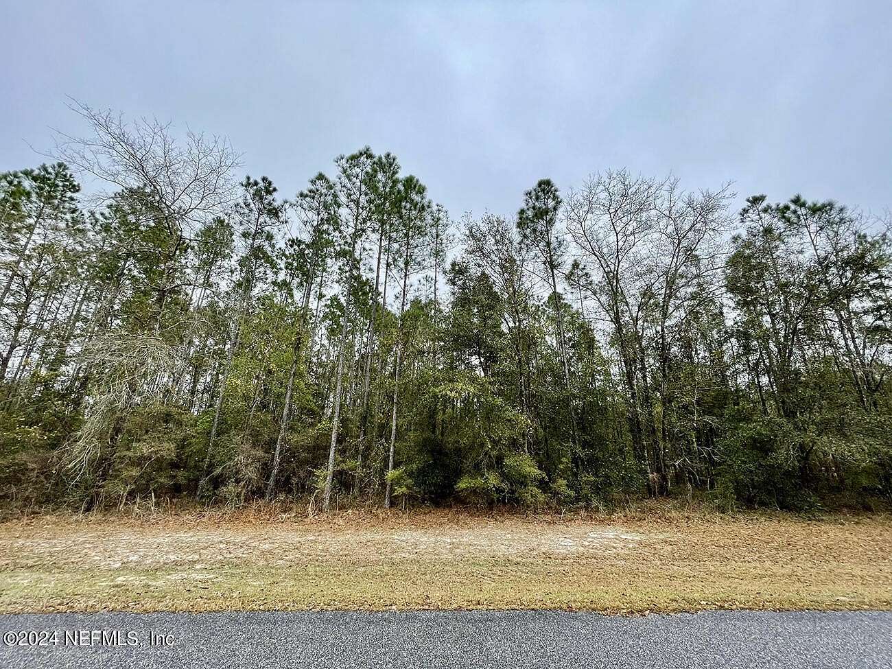 3.76 Acres of Residential Land for Sale in Bryceville, Florida