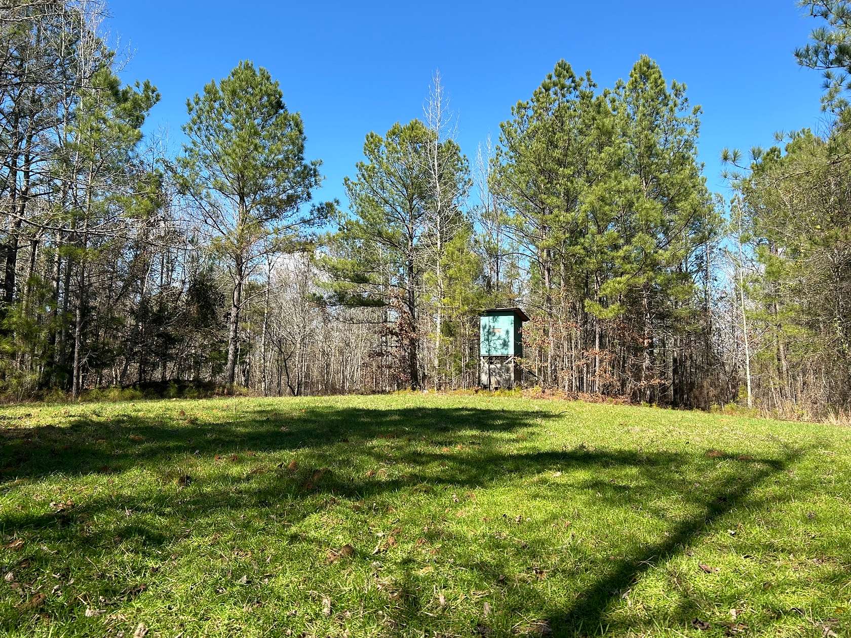 80 Acres of Recreational Land & Farm for Sale in Kosciusko, Mississippi