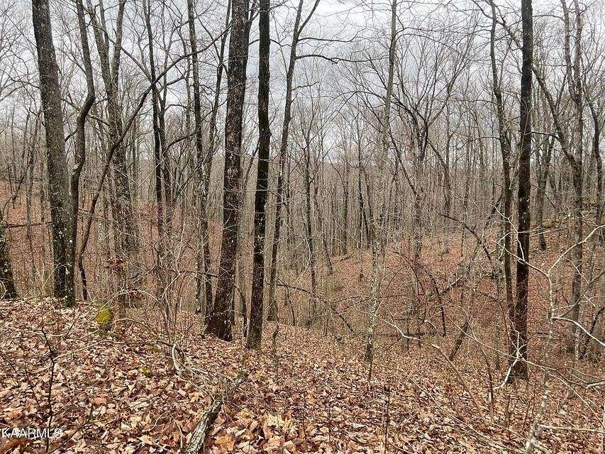 Residential Land for Sale in Monterey, Tennessee