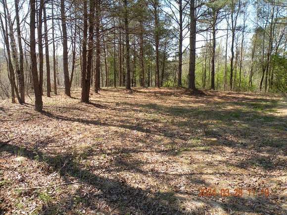1.2 Acres of Residential Land for Sale in Cordova, Alabama