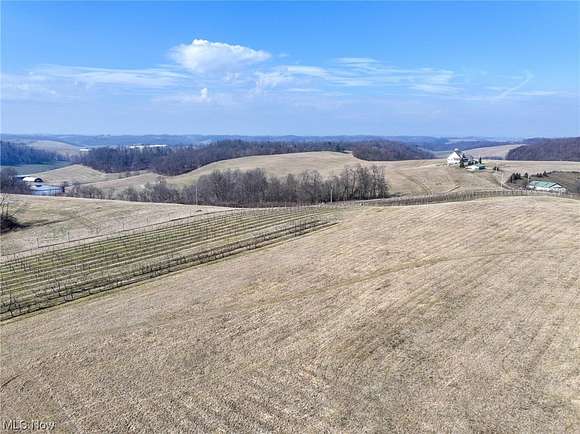 13 Acres of Agricultural Land for Sale in Stone Creek, Ohio