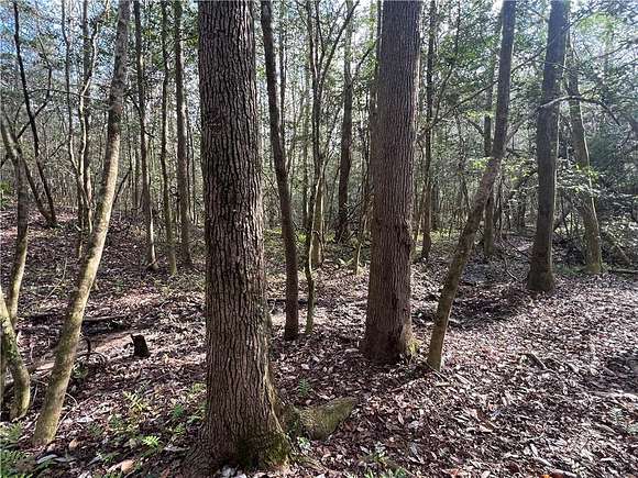 7.5 Acres of Land for Sale in Seale, Alabama