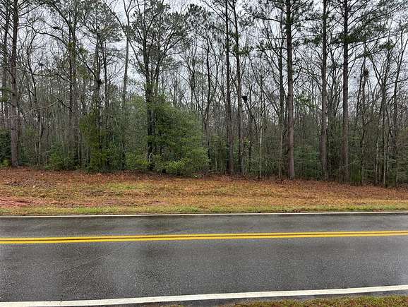2 Acres of Residential Land for Sale in Hamilton, Georgia