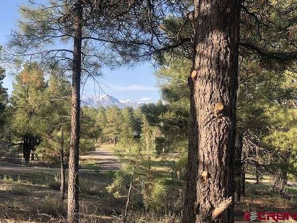 0.55 Acres of Residential Land for Sale in Pagosa Springs, Colorado