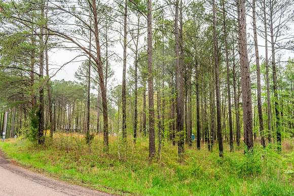 1 Acre of Residential Land for Sale in Counce, Tennessee