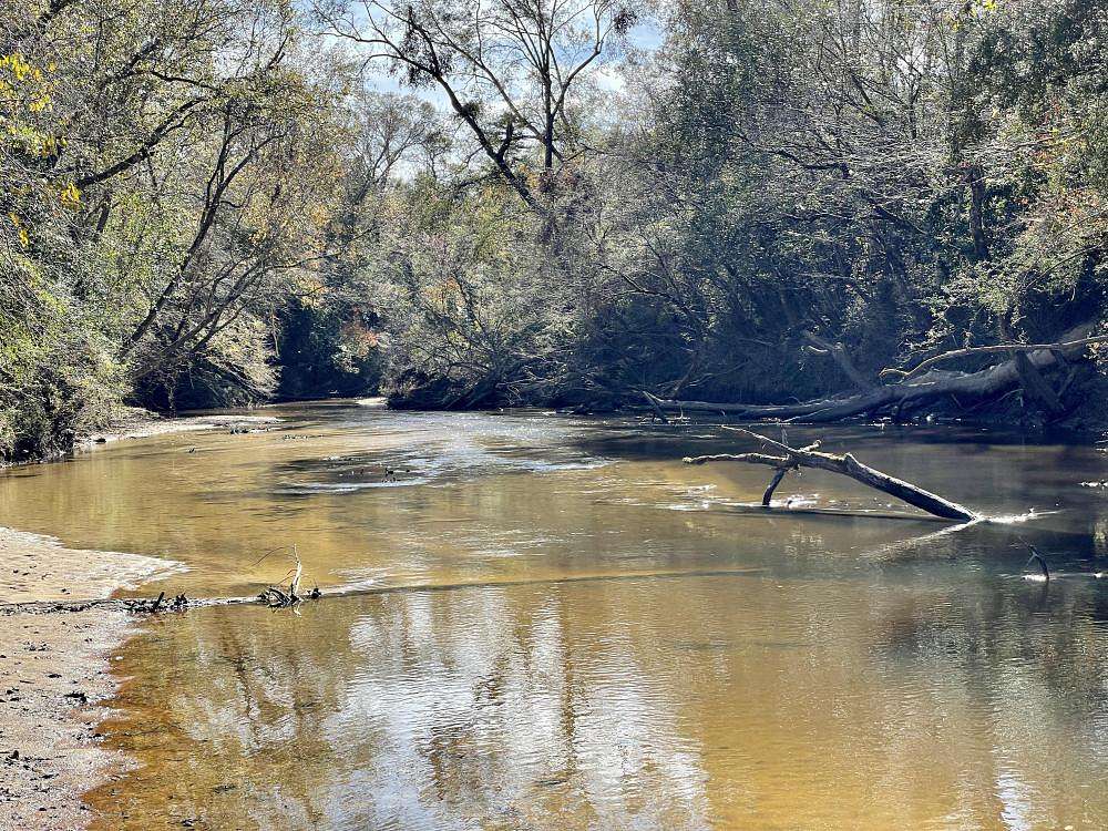 206 Acres of Recreational Land for Sale in Carriere, Mississippi