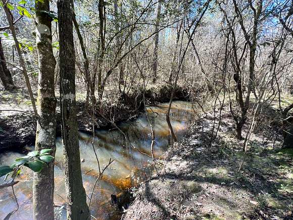 100 Acres of Recreational Land for Sale in Wagarville, Alabama