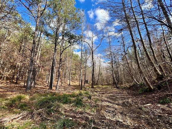 54 Acres of Recreational Land for Sale in Toxey, Alabama