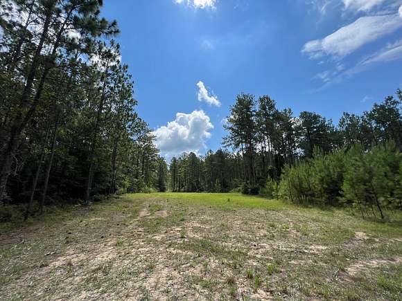 81 Acres of Recreational Land for Sale in Bay Minette, Alabama