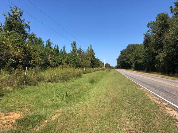 107 Acres of Recreational Land for Sale in Greenville, Alabama