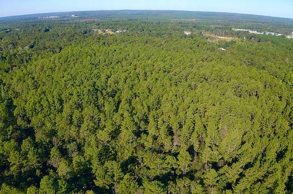 18 Acres of Land for Sale in Creola, Alabama