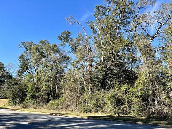 0.54 Acres of Residential Land for Sale in Citronelle, Alabama