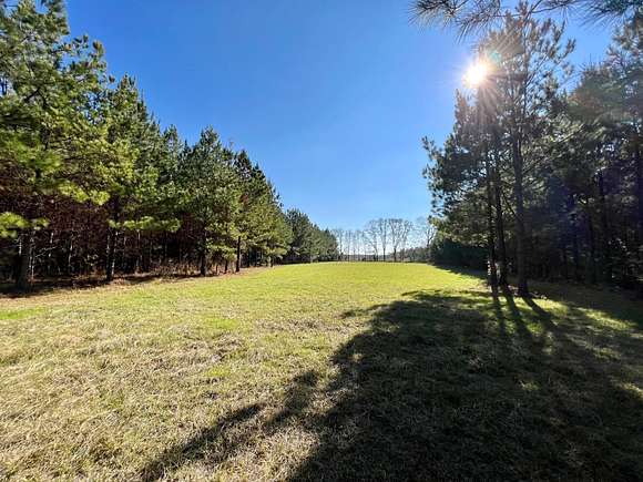 116 Acres of Recreational Land for Sale in Tyler, Alabama