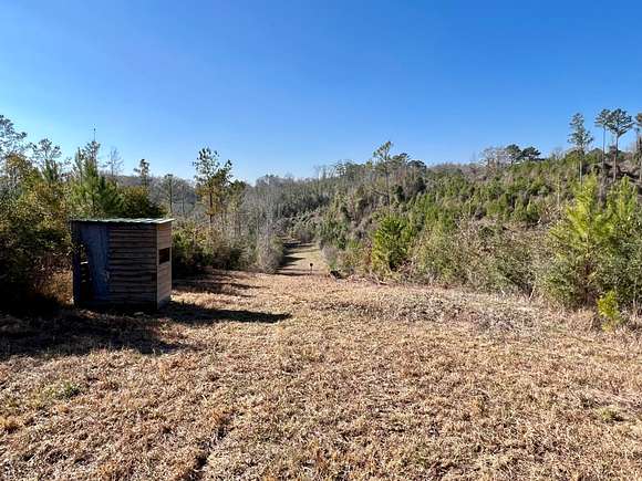 198 Acres of Recreational Land for Sale in Valley Grande, Alabama