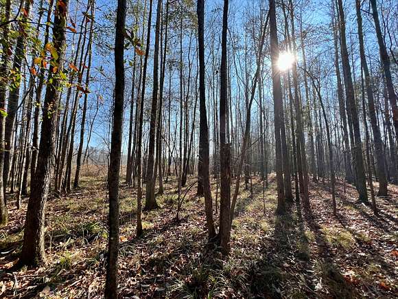119 Acres of Recreational Land for Sale in Summerfield, Alabama