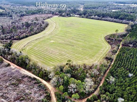 48 Acres of Land for Sale in Loxley, Alabama