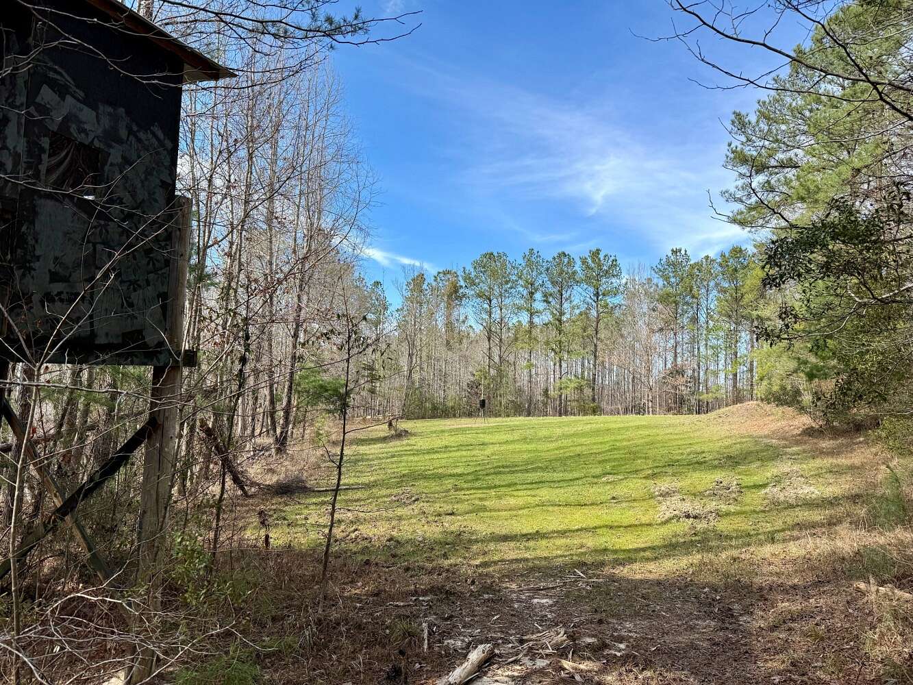 120 Acres of Recreational Land for Sale in Thomasville, Alabama