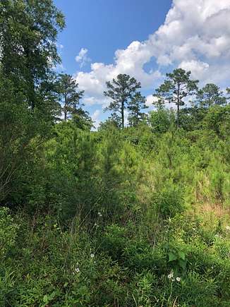 76 Acres of Land for Sale in Frisco City, Alabama