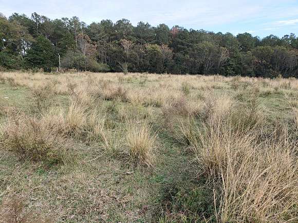 2 Acres of Residential Land for Sale in Clayton, Alabama