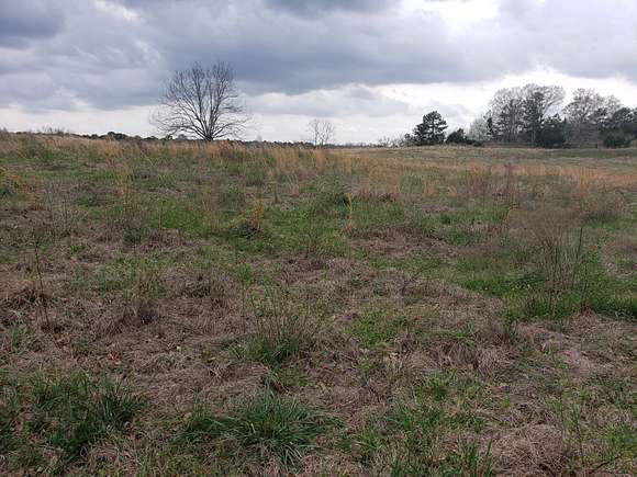 2 Acres of Residential Land for Sale in Clayton, Alabama