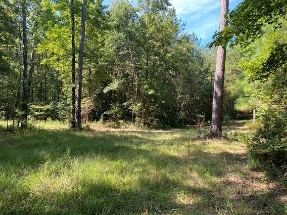 15.2 Acres of Land for Sale in Opelika, Alabama