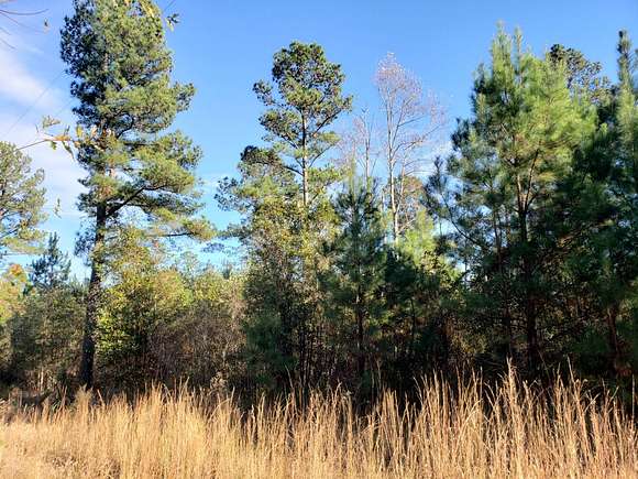 68.2 Acres of Recreational Land for Sale in Midway, Alabama