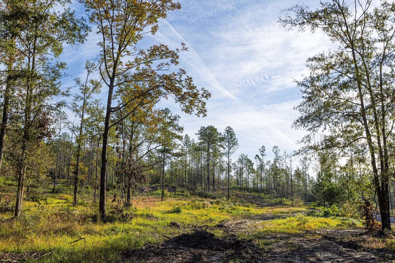 20 Acres of Agricultural Land for Sale in Bay Minette, Alabama