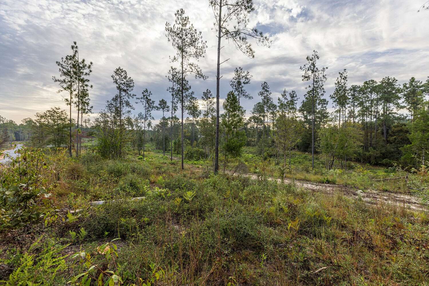 12 Acres of Land for Sale in Bay Minette, Alabama