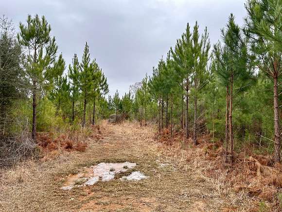 40 Acres of Recreational Land for Sale in Toxey, Alabama