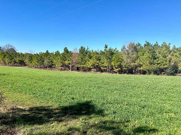 15 Acres of Recreational Land for Sale in Castleberry, Alabama