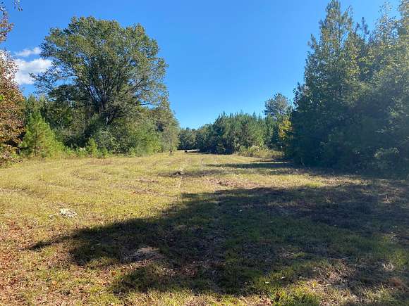 82 Acres of Land for Sale in Tuskegee, Alabama