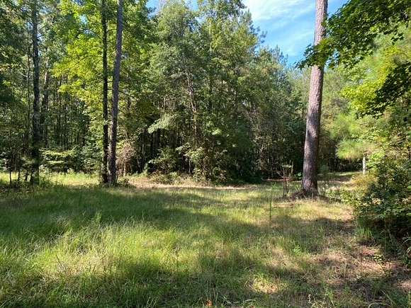 8.7 Acres of Residential Land for Sale in Opelika, Alabama