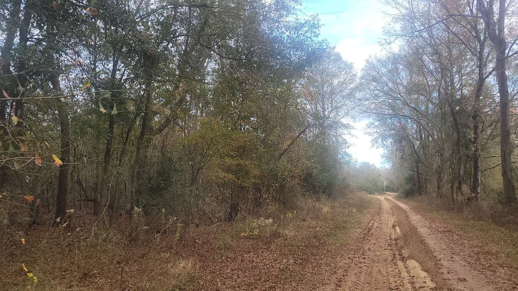 12 Acres of Land for Sale in Autaugaville, Alabama