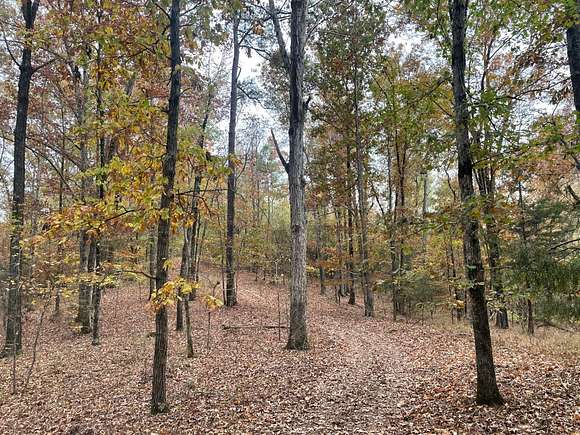 103 Acres of Land for Sale in Tuscaloosa, Alabama
