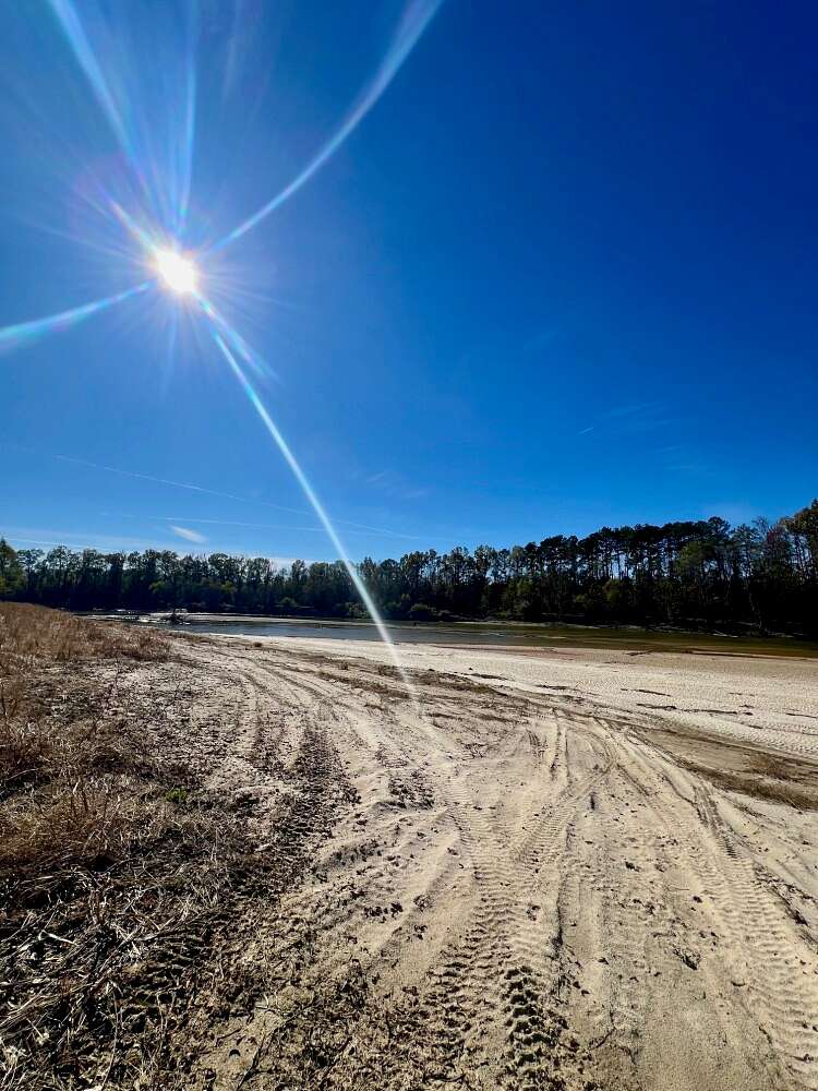 8.73 Acres of Land for Sale in Wanilla, Mississippi