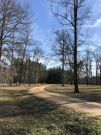 8.62 Acres of Land for Sale in Wanilla, Mississippi