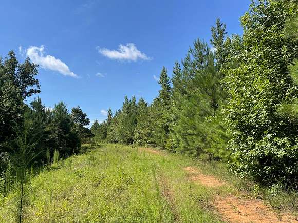 303 Acres of Land for Sale in Tuscaloosa, Alabama