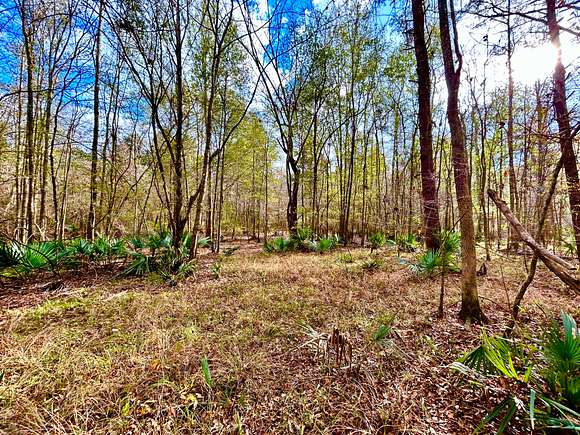 135 Acres of Land for Sale in Hickory, Mississippi