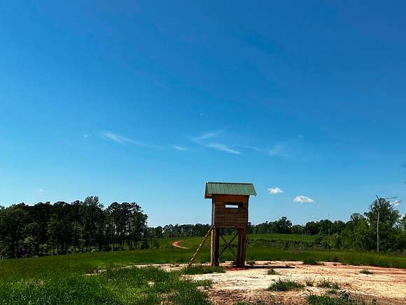 249 Acres of Land for Sale in Paulding, Mississippi