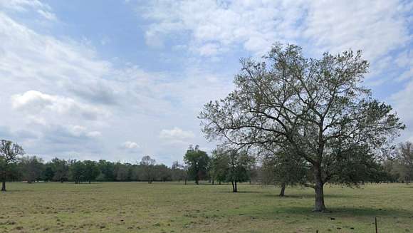 2 Acres of Residential Land for Sale in Albany, Louisiana