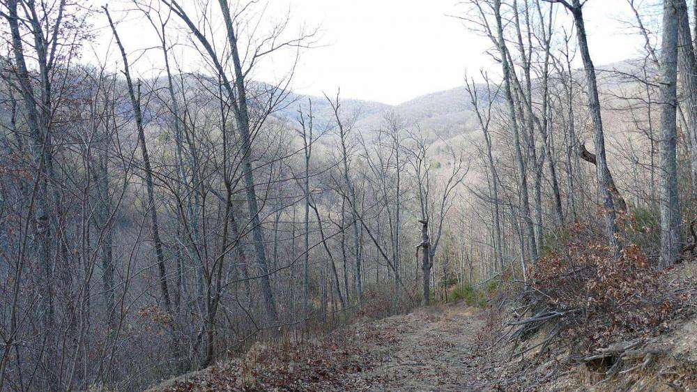 27 Acres of Recreational Land for Sale in Monterey, Virginia