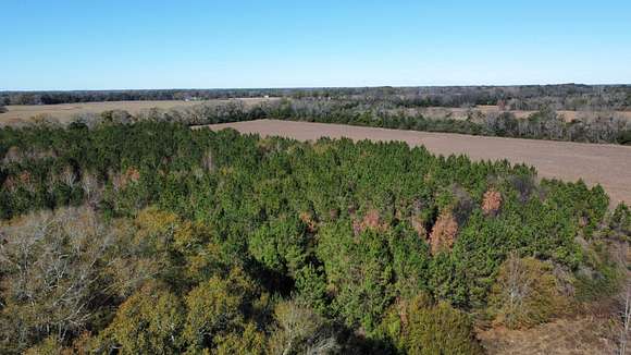 83 Acres of Recreational Land for Sale in Headland, Alabama