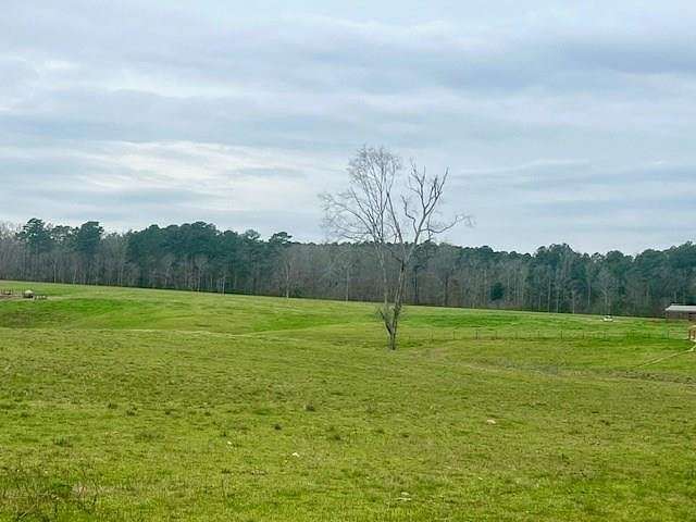 31.5 Acres of Agricultural Land for Sale in McCall Creek, Mississippi