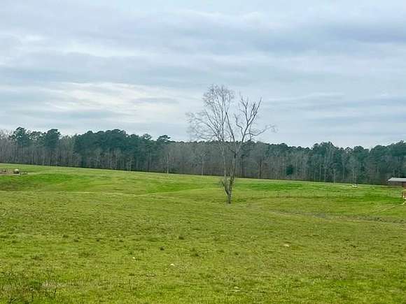 31.5 Acres of Agricultural Land for Sale in McCall Creek, Mississippi