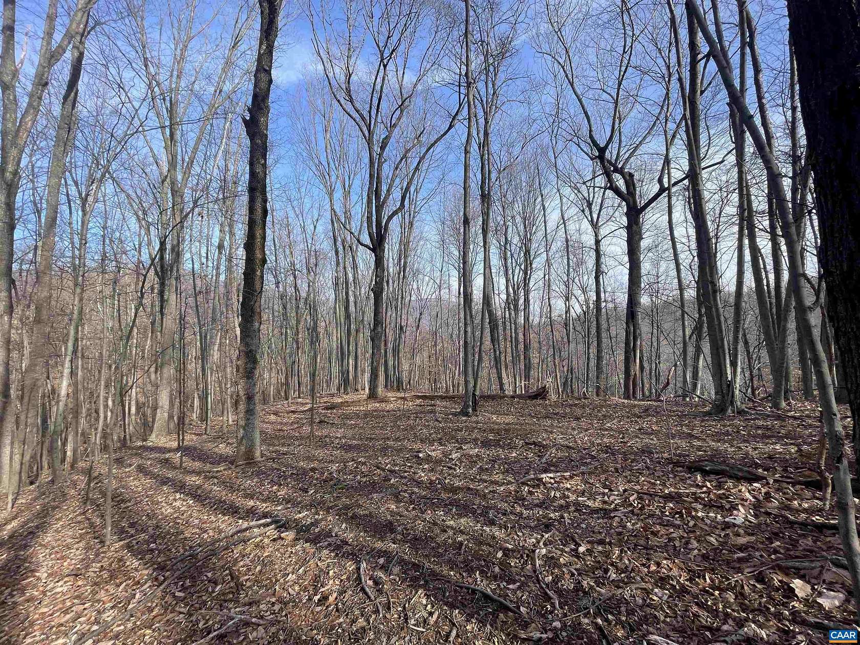 7.6 Acres of Residential Land for Sale in Nellysford, Virginia