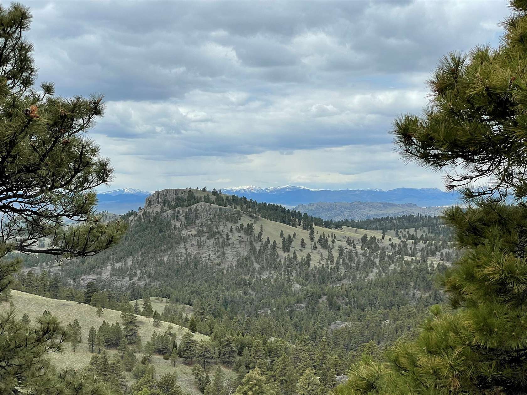 14.4 Acres of Recreational Land for Sale in Cascade, Montana