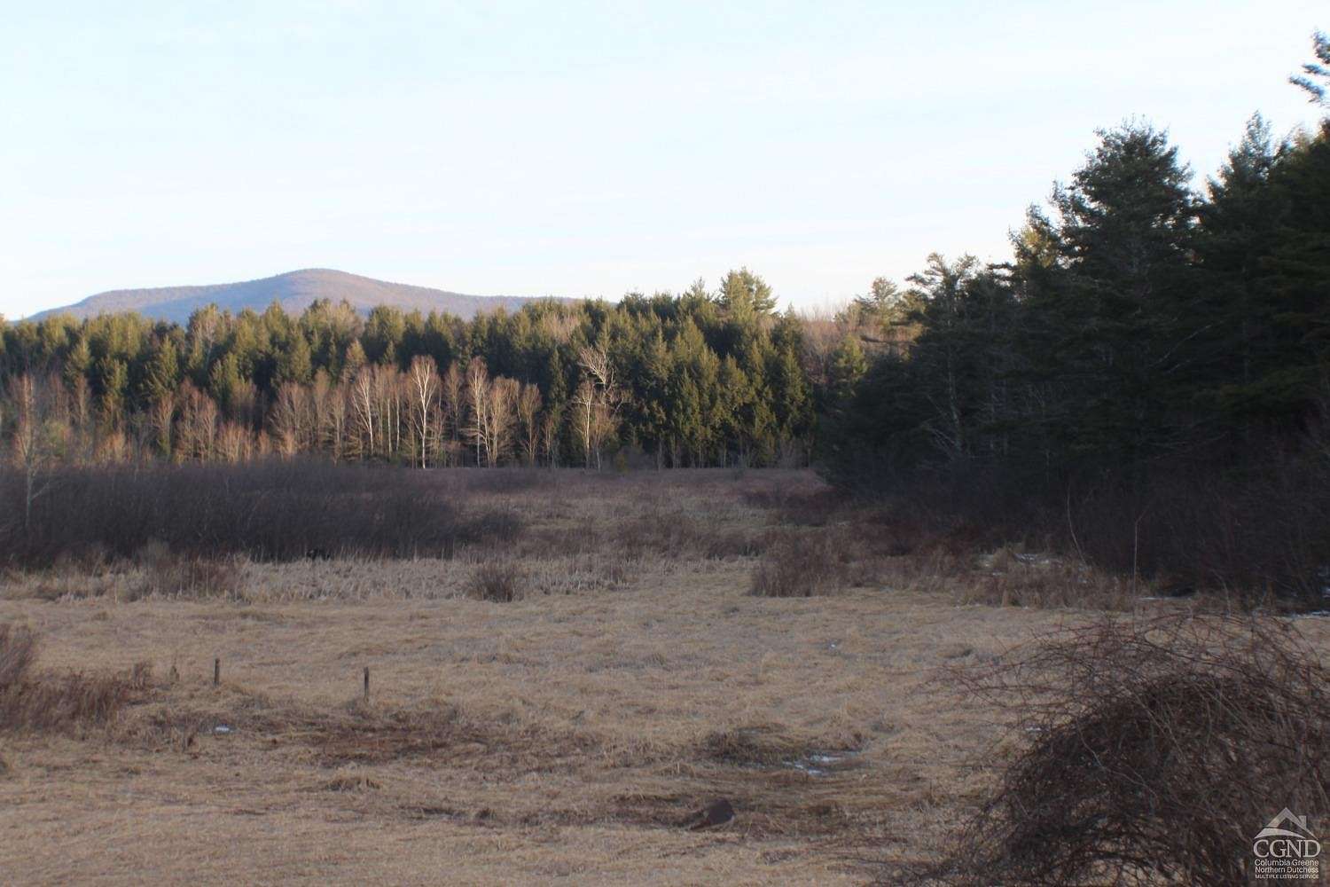 8 Acres of Land for Sale in Conesville, New York