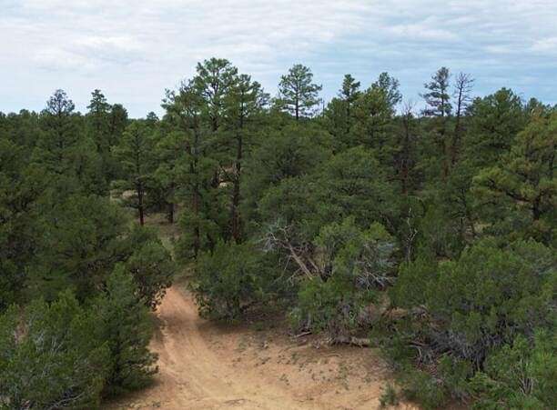 7.6 Acres of Land for Sale in Ramah, New Mexico
